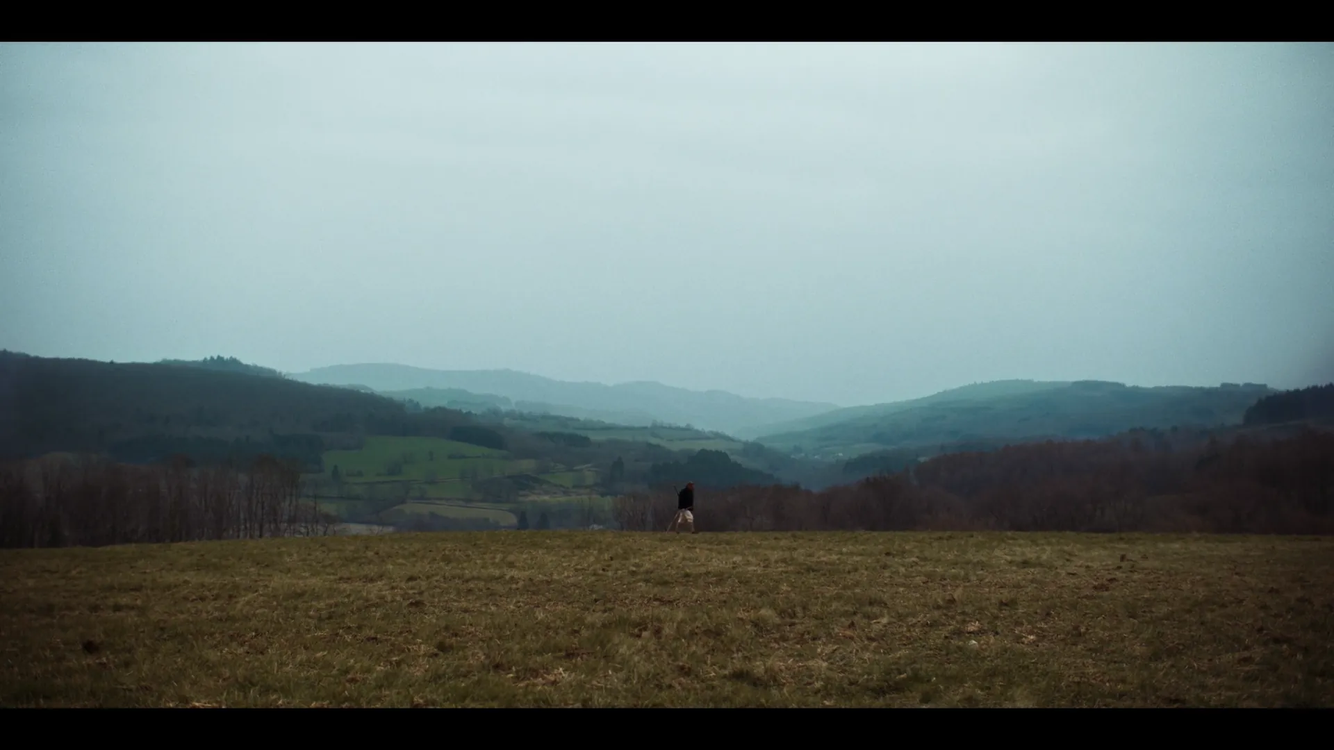 Les Loups - image 6