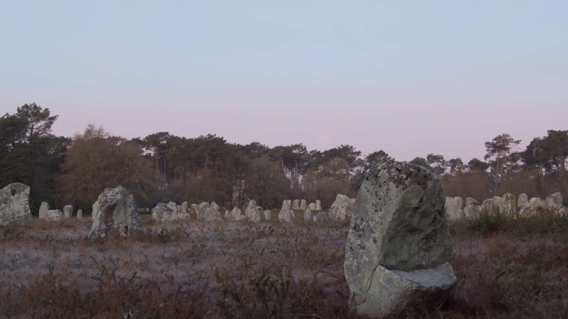 Une vieille terre pour une nouvelle chanson... — image 3